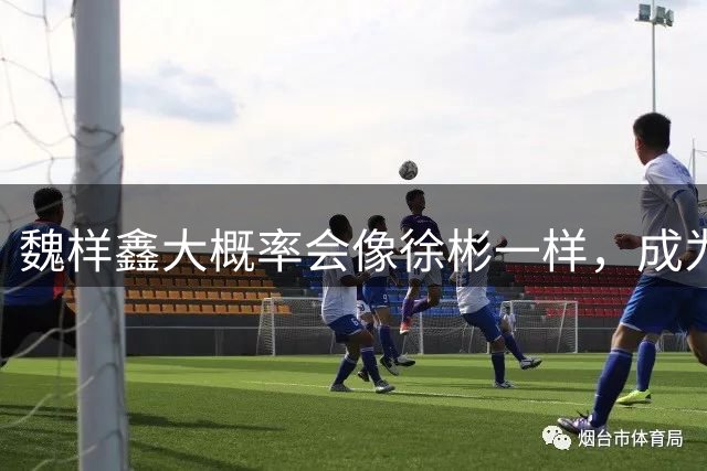 魏样鑫大概率会像徐彬一样，成为下一个反面教材